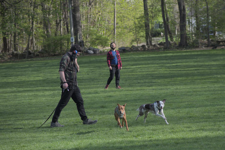 20250501_Dog park__DSC0334_.jpg