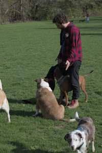 20250501_Dog park__DSC0352_.jpg