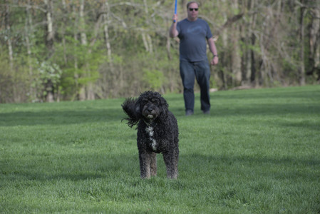 20250501_Dog park__DSC0483_.jpg