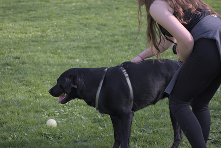 20250502_dog park__DSC0040_.jpg