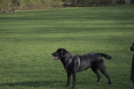 20250502_dog park__DSC0042_.jpg