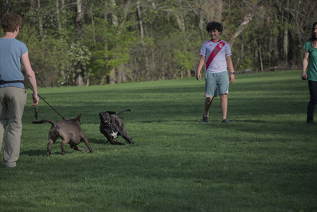 20250502_dog park__DSC0068_.jpg