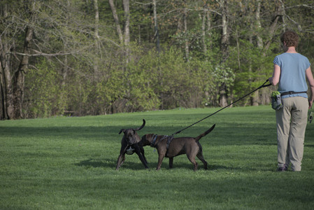 20250502_dog park__DSC0070_.jpg