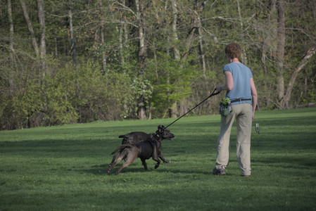 20250502_dog park__DSC0074_.jpg