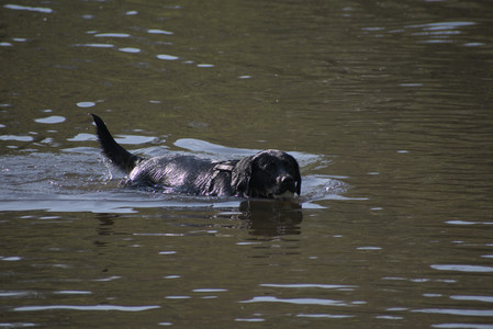 20250502_dog park__DSC0089_.jpg