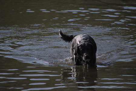 20250502_dog park__DSC0092_.jpg