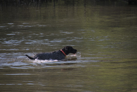 20250502_dog park__DSC0095_.jpg