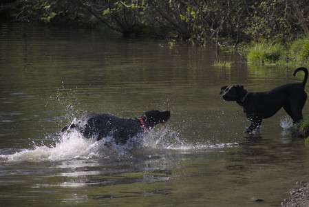 20250502_dog park__DSC0098_.jpg