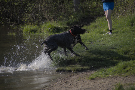 20250502_dog park__DSC0102_.jpg