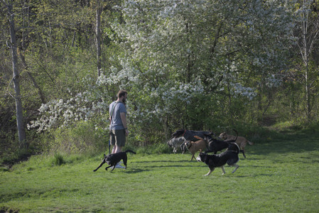 20250502_dog park__DSC0103_.jpg