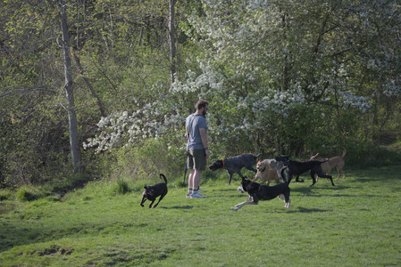 20250502_dog park__DSC0104_.jpg