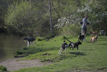 20250502_dog park__DSC0107_.jpg