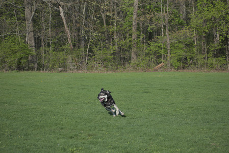 20250502_dog park__DSC0111_.jpg