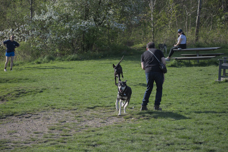 20250502_dog park__DSC0118_.jpg