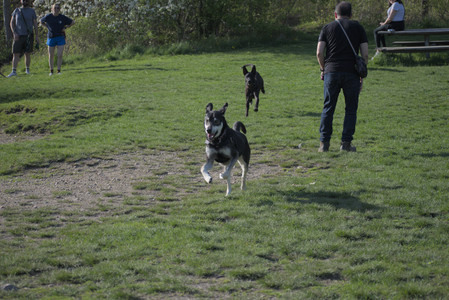 20250502_dog park__DSC0120_.jpg