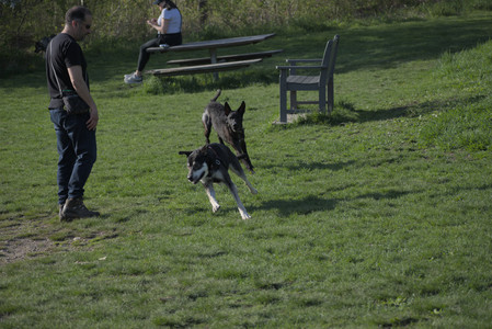 20250502_dog park__DSC0135_.jpg