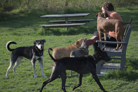 20250502_dog park__DSC0143_.jpg