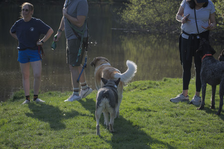 20250502_dog park__DSC0158_.jpg