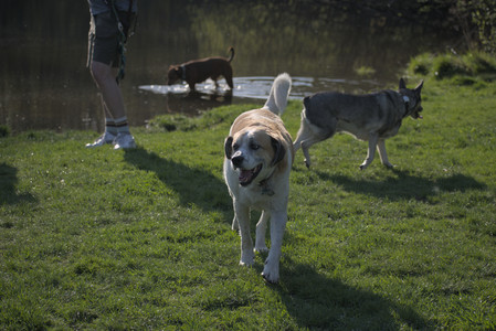 20250502_dog park__DSC0161_.jpg