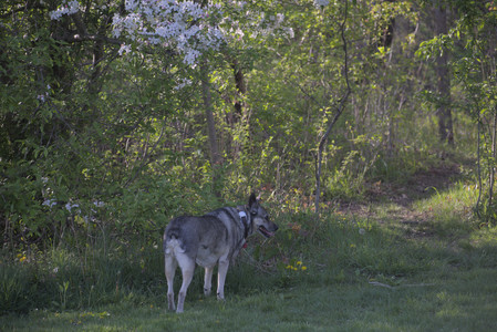 20250502_dog park__DSC0165_.jpg