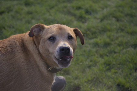 20250502_dog park__DSC0180_.jpg