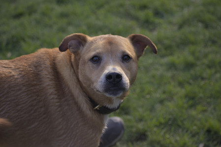 20250502_dog park__DSC0181_.jpg