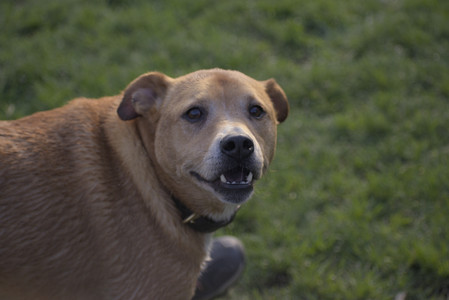 20250502_dog park__DSC0182_.jpg