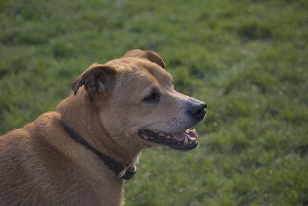 20250502_dog park__DSC0184_.jpg