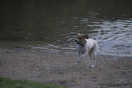 20250502_dog park__DSC0244_.jpg