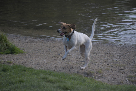 20250502_dog park__DSC0246_.jpg