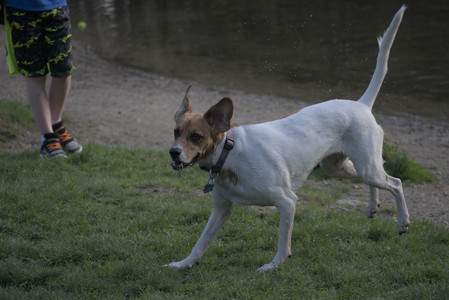 20250502_dog park__DSC0249_.jpg