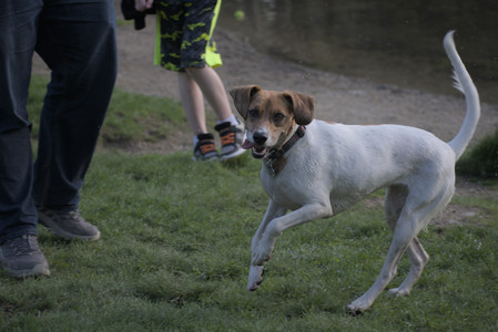 20250502_dog park__DSC0250_.jpg
