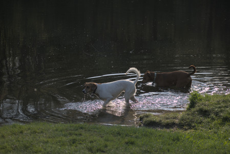 20250502_dog park__DSC0251_.jpg
