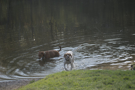 20250502_dog park__DSC0256_.jpg