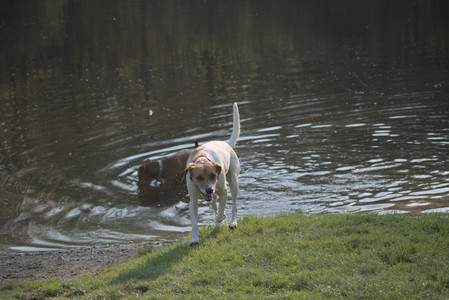 20250502_dog park__DSC0263_.jpg