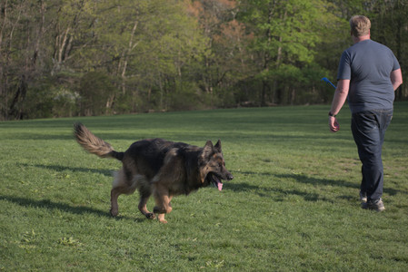 20250502_dog park__DSC0276_.jpg