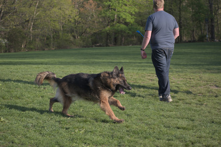 20250502_dog park__DSC0277_.jpg