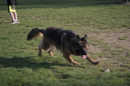 20250502_dog park__DSC0282_.jpg