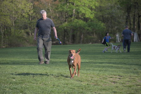 20250502_dog park__DSC0287_.jpg