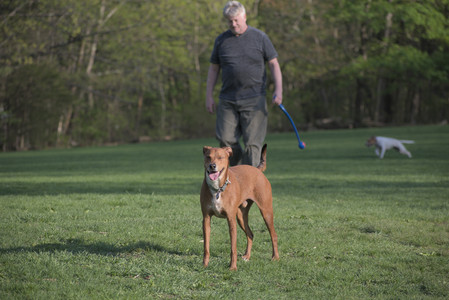 20250502_dog park__DSC0290_.jpg