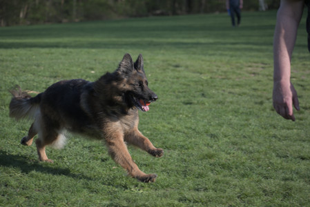 20250502_dog park__DSC0298_.jpg