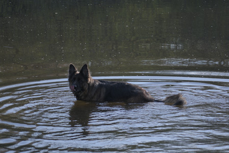 20250502_dog park__DSC0306_.jpg