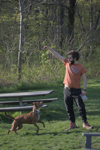 20250502_dog park__DSC0309_.jpg