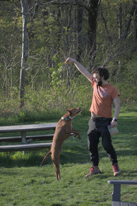 20250502_dog park__DSC0311_.jpg