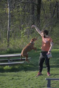 20250502_dog park__DSC0312_.jpg