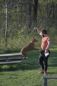 20250502_dog park__DSC0313_.jpg