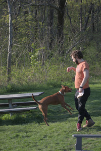 20250502_dog park__DSC0314_.jpg