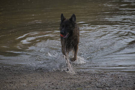 20250502_dog park__DSC0327_.jpg