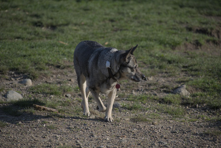 20250502_dog park__DSC0343_.jpg