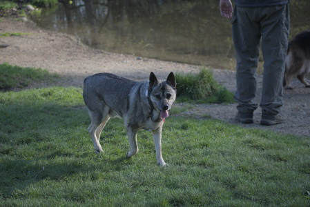 20250502_dog park__DSC0357_.jpg